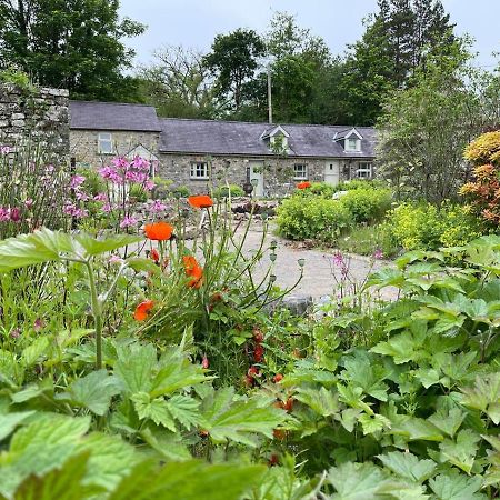 Crug Yr Eryr Isaf Villa Llandysul Buitenkant foto