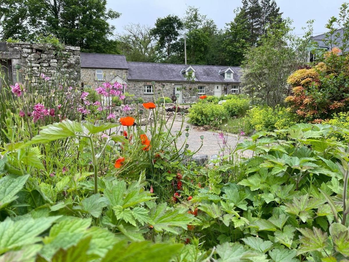 Crug Yr Eryr Isaf Villa Llandysul Buitenkant foto